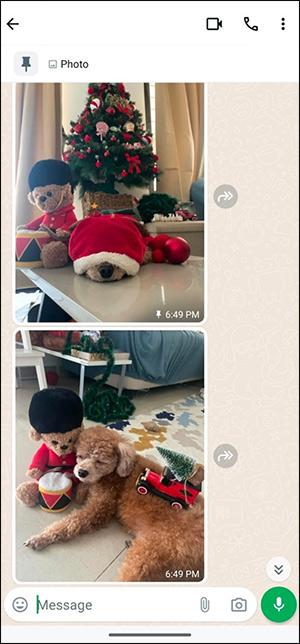 Tin nhắn WhatsApp đã ghim