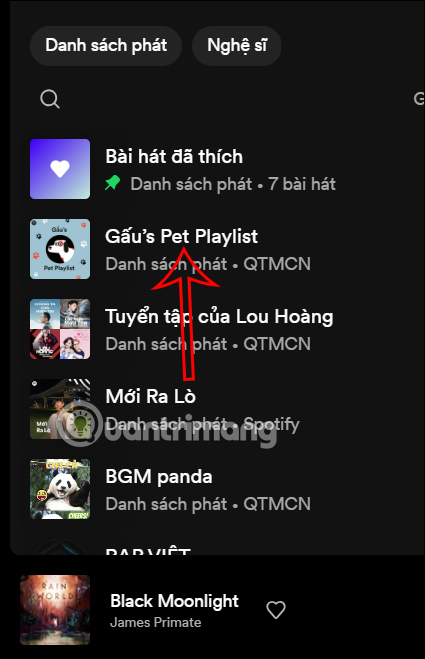 Dánh sách playlist trên Spotify