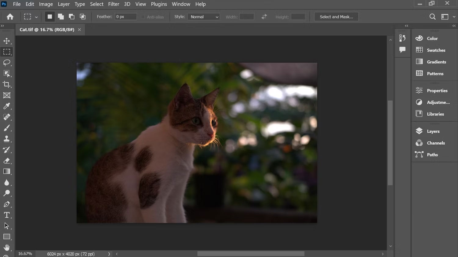 Mở file TIFF trên Photoshop