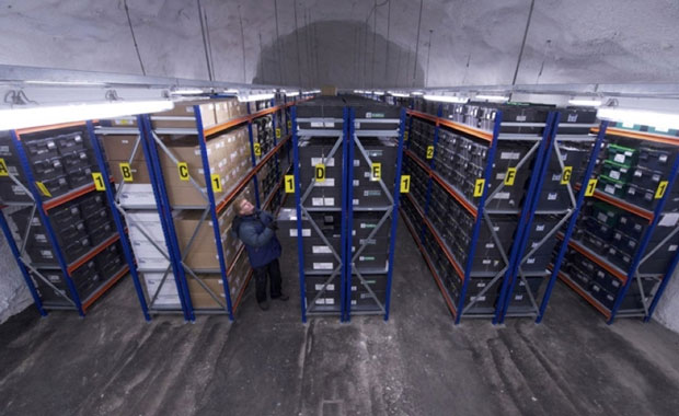 Bên trong hầm hạt giống