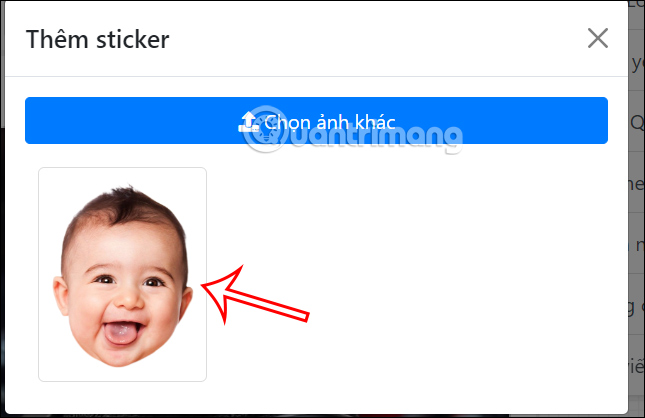 Chọn ảnh cá nhân ghép ảnh rượt mèo