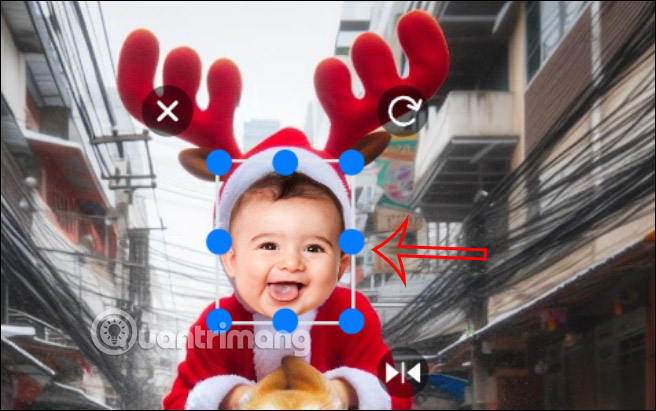 Chỉnh ảnh cá nhân ghép ảnh rượt mèo