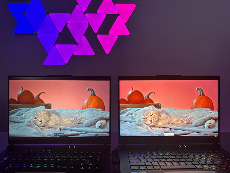 laptop asus mới 2024