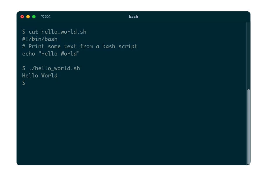 Terminal hiển thị kết quả của một Bash script đơn giản gửi văn bản đến đầu ra