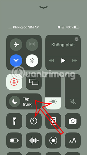 Chế độ Tập trung