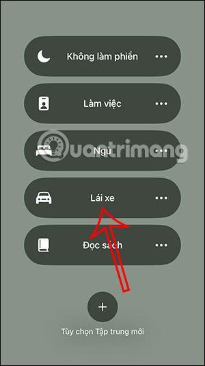 Chế độ Lái xe trên iPhone