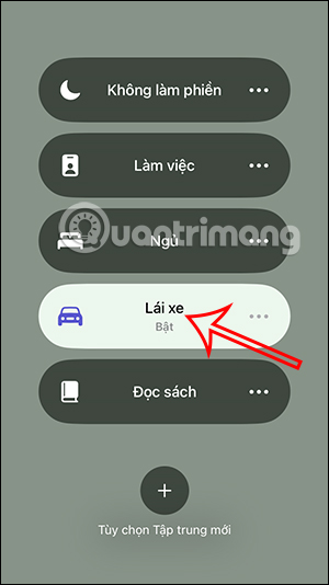 Bật Lái xe trên iPhone