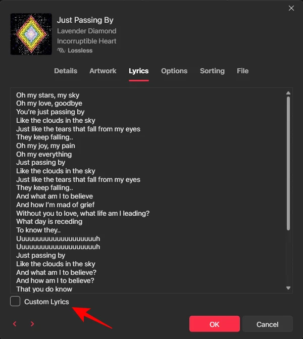 Chế độ tùy chỉnh lời bài hát  Apple Music