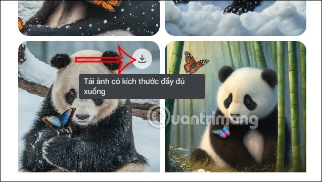 Tải ảnh trên Google Bard AI