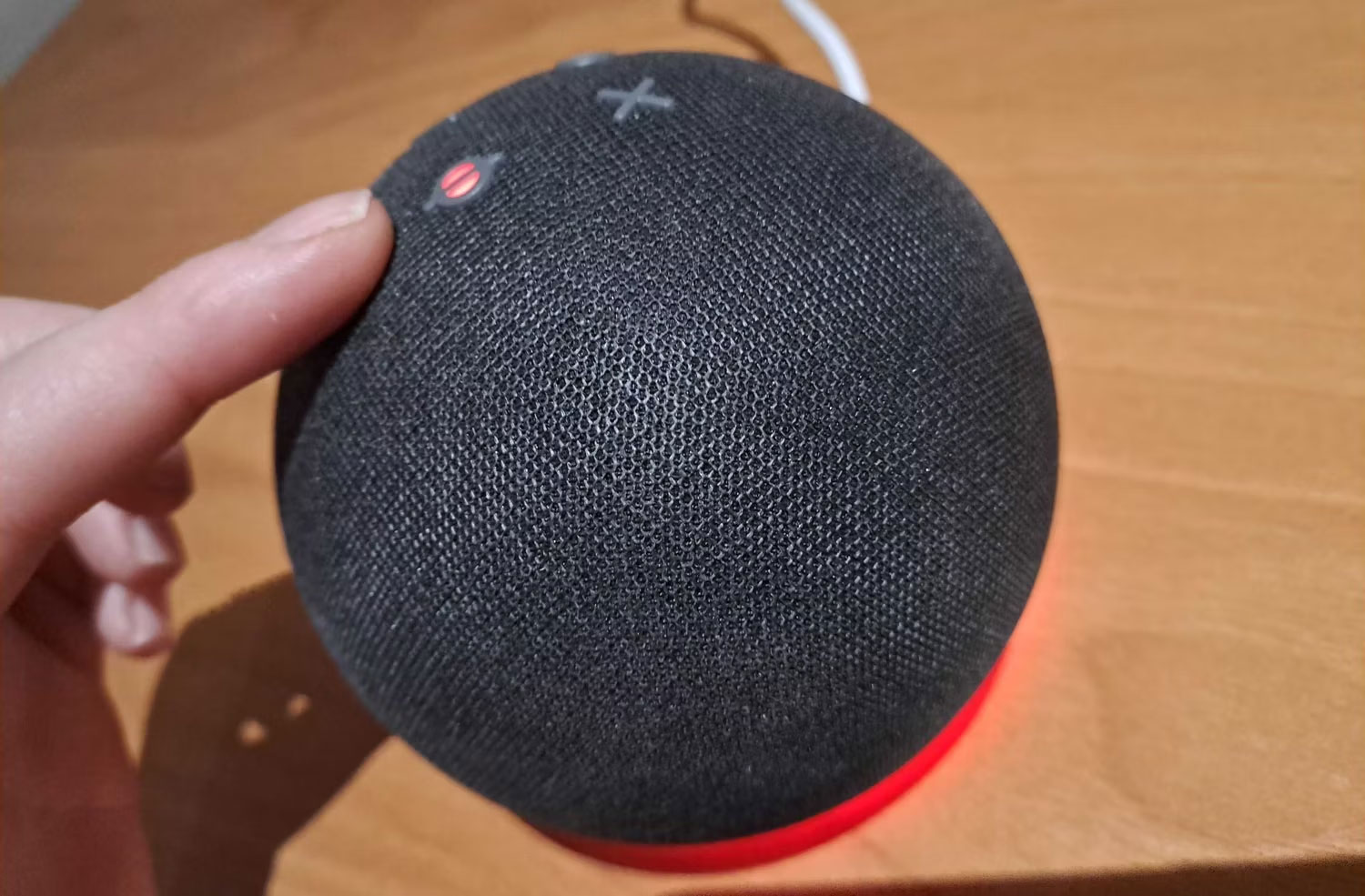 Loa Echo với nút tắt tiếng được kích hoạt