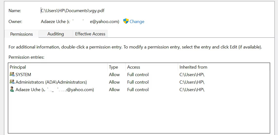 Permissions for a file in Windows 11