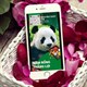 Cách tạo mã QR Tết trên Zalo nhận lì xì