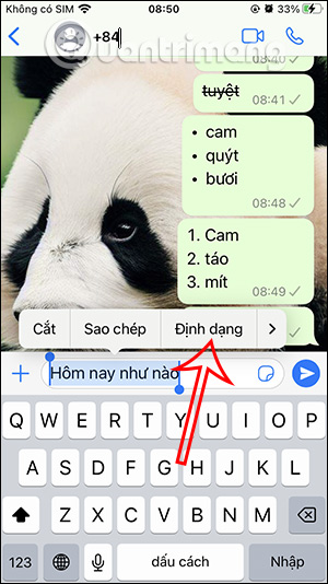 Định dạng tin nhắn WhatsApp