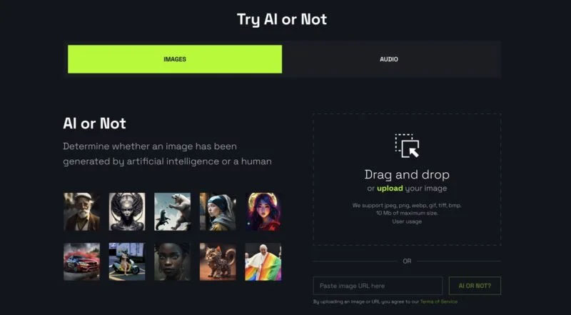 AI or Not