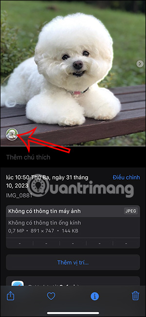 Chọn thú cưng tạo ten