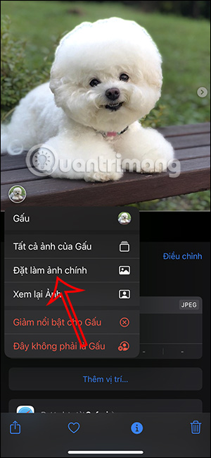 Đặt làm ảnh chính