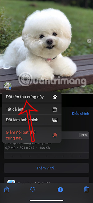 Đặt tên cho thú cưng iPhone
