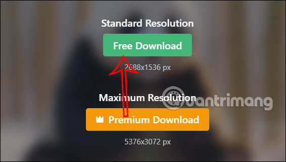 Tải ảnh tạo trên Freepik