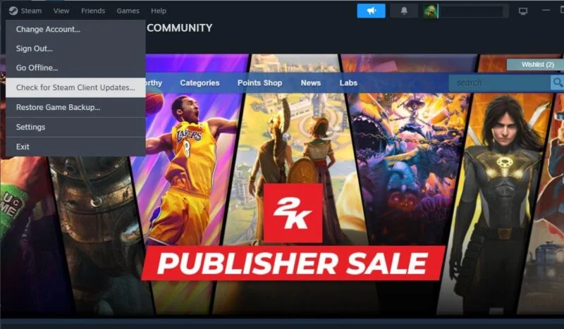 Cập nhật Steam client
