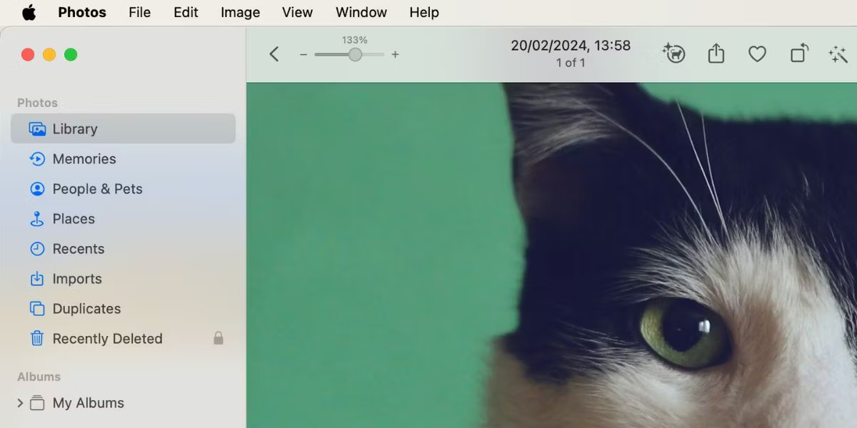 Thanh trượt zoom trong ứng dụng Mac Photos