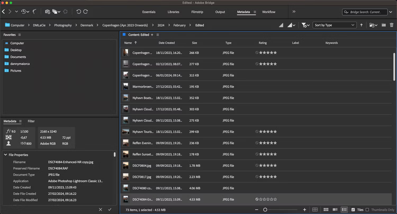 Tab Metadata trong Adobe Bridge