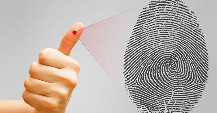 Dấu vân tay 