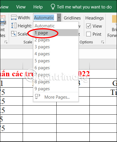 Chiều rộng bảng tính trong 1 trang Excel 