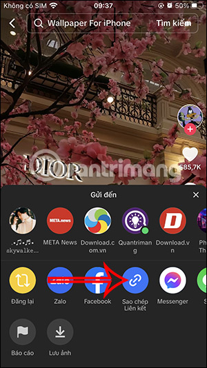 Sao chép URL video TikTok