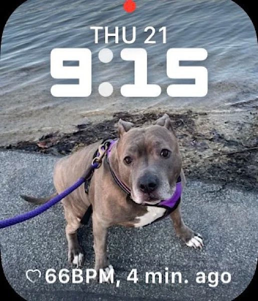 Watch Faces Gallery #1