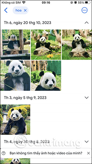 Hình ảnh tìm kiếm trên Google Photos