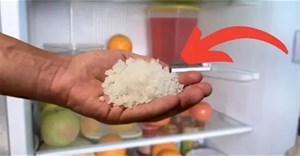 Công dụng bất ngờ khi đặt bát muối vào tủ lạnh