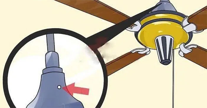 Cách tra dầu quạt trần