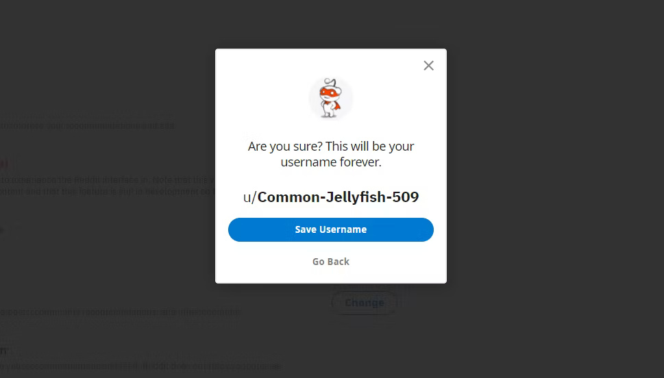 Chọn username đăng ký Reddit