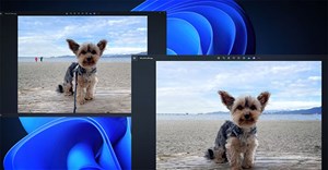 Tìm hiểu tính năng Generative Erase của ứng dụng Windows Photos