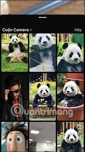 Album ảnh trên iPhone