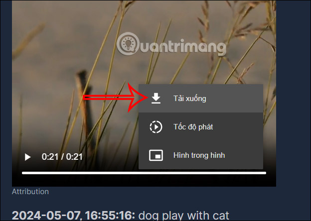 Tải video trên ClipPanda