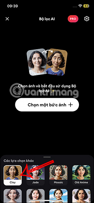Bộ lọc tượng đất sét