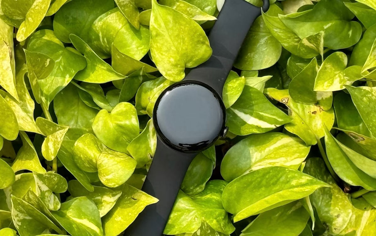 Google Pixel Watch 2