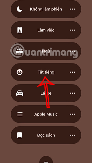 Chế độ tắt tiếng cuộc gọi trên iPhone
