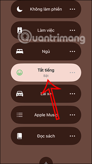 Kích hoạt tắt tiếng cuộc gọi trên iPhone