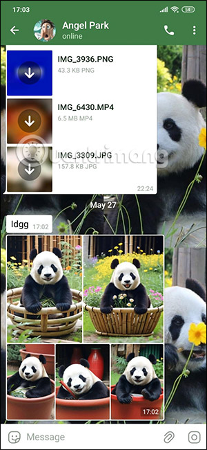 Hình ảnh trên Telegram Android