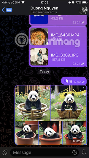 Ảnh gửi trên Telegram iPhone