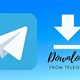 Hướng dẫn download nhiều ảnh cùng lúc trên Telegram