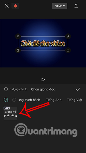 Chọn giọng đọc tiếng Việt