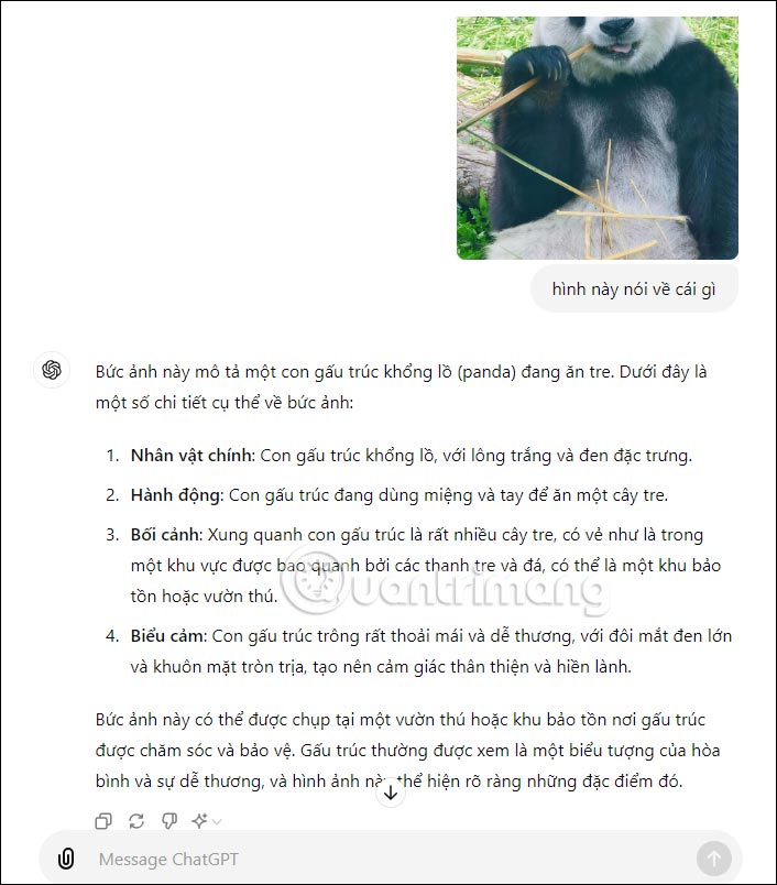 Phân tích ảnh trên ChatGPT-4o