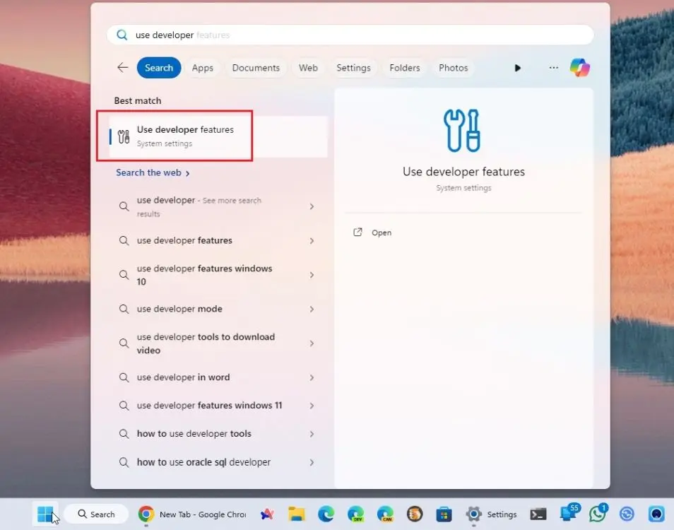 Mở Use developer features