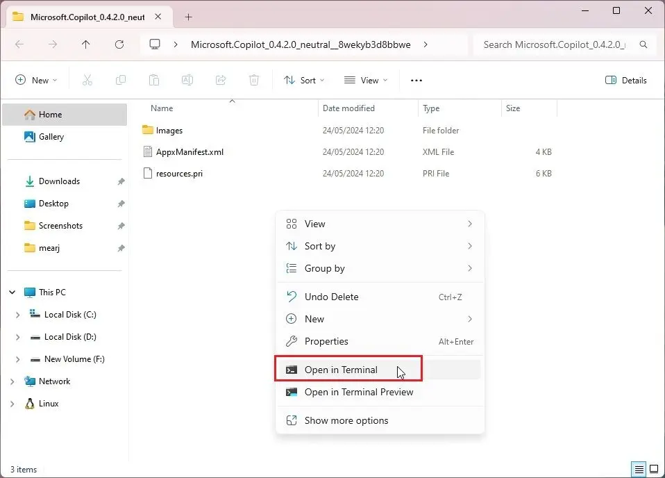 Mở Terminal với quyền admin trong Windows 11