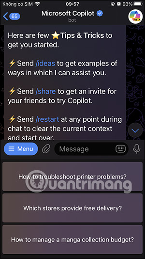 Câu lệnh trên Copilot