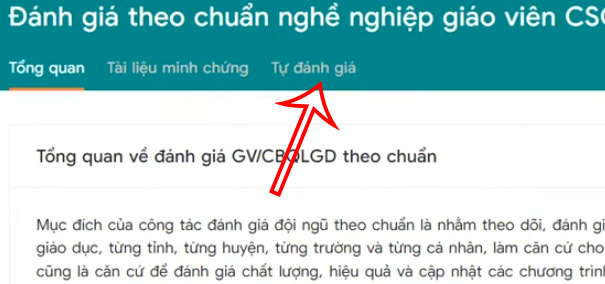 Thầy cô tự đánh giá trên TEMIS
