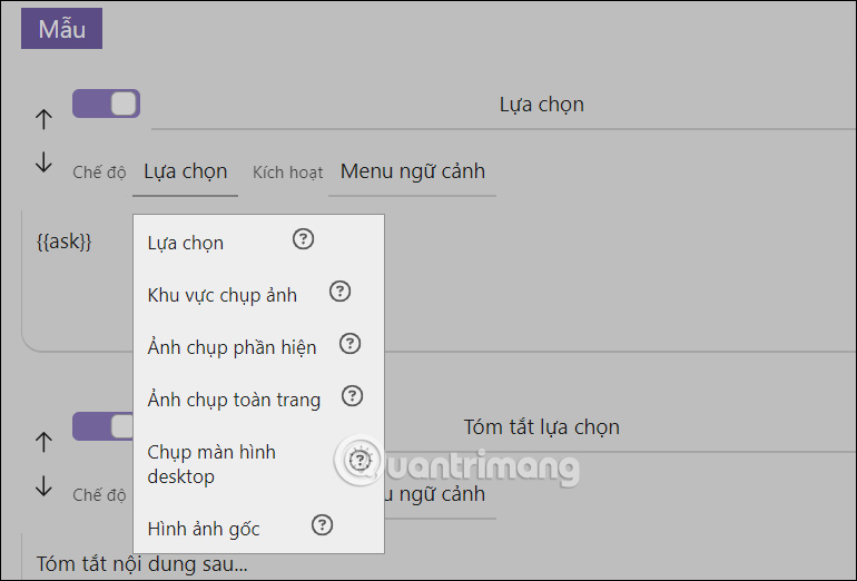 Chỉnh tùy chọn trên Ask Screenshot for Gemini